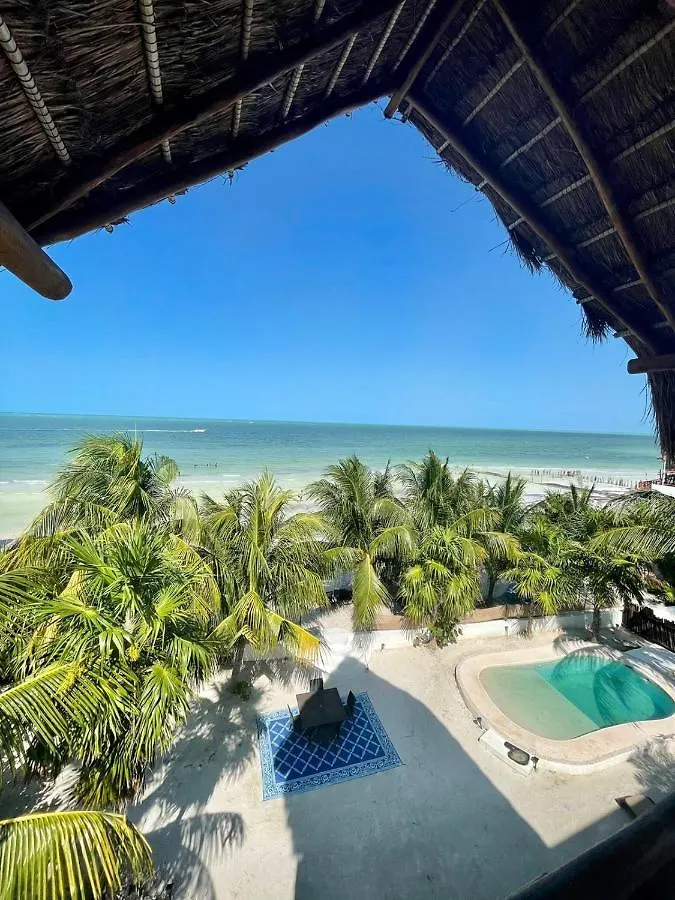 Luxury Ocean Front Villa - Adults Only Isla Holbox Mexico
