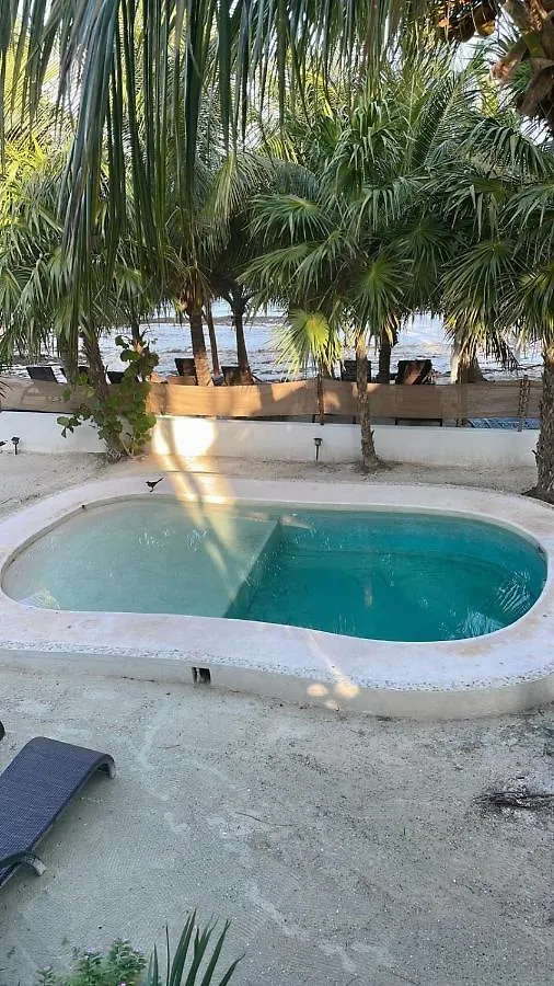 Luxury Ocean Front Villa - Adults Only Isla Holbox 0*,