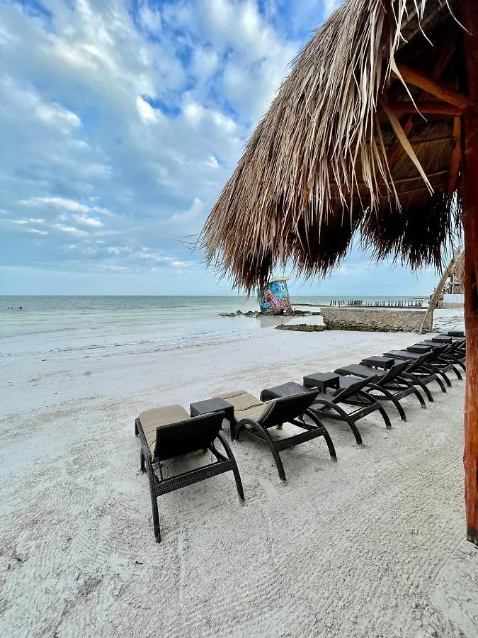Holiday home Luxury Ocean Front Villa - Adults Only Isla Holbox